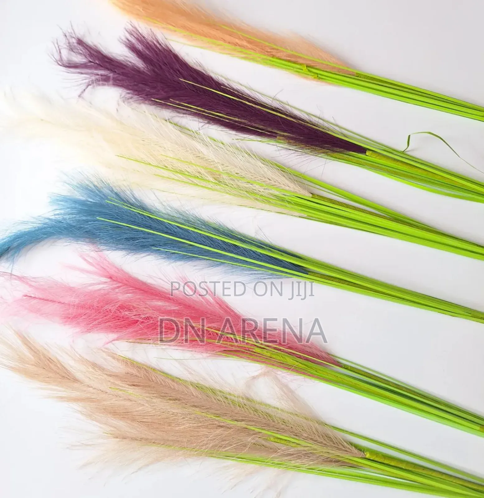 Dried Pampas Grass in 7 Colors 85gh a Stick/ Stem