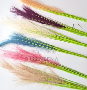 Dried Pampas Grass in 7 Colors 85gh a Stick/ Stem