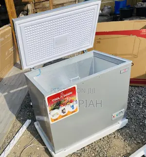 Zara 300FL Single Door Chest Freezer(Gray).