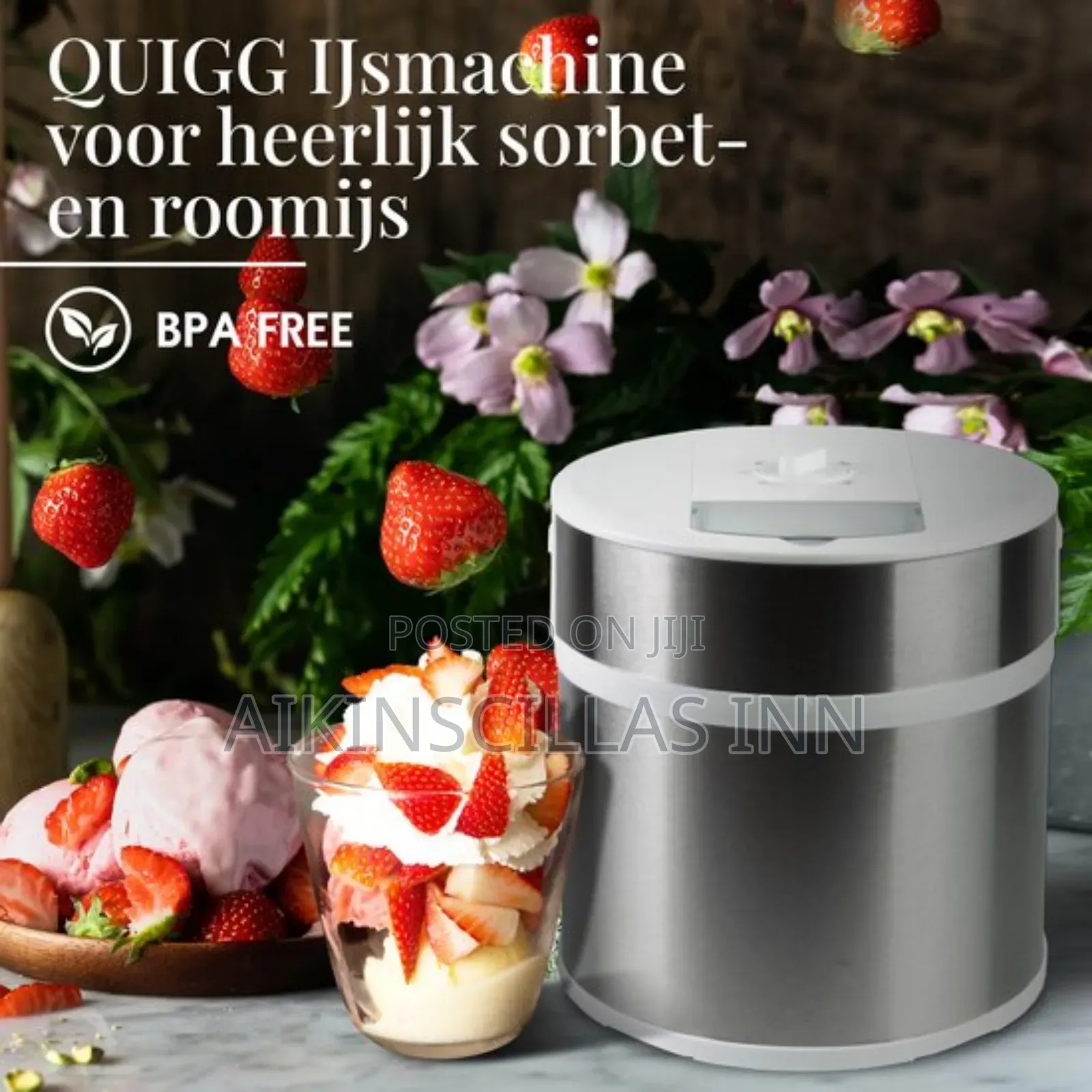 Quigg German Ice Cream Maker