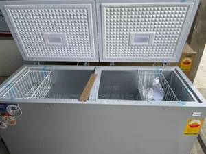 Nasco 600 Litres Double Door Chest Freezer