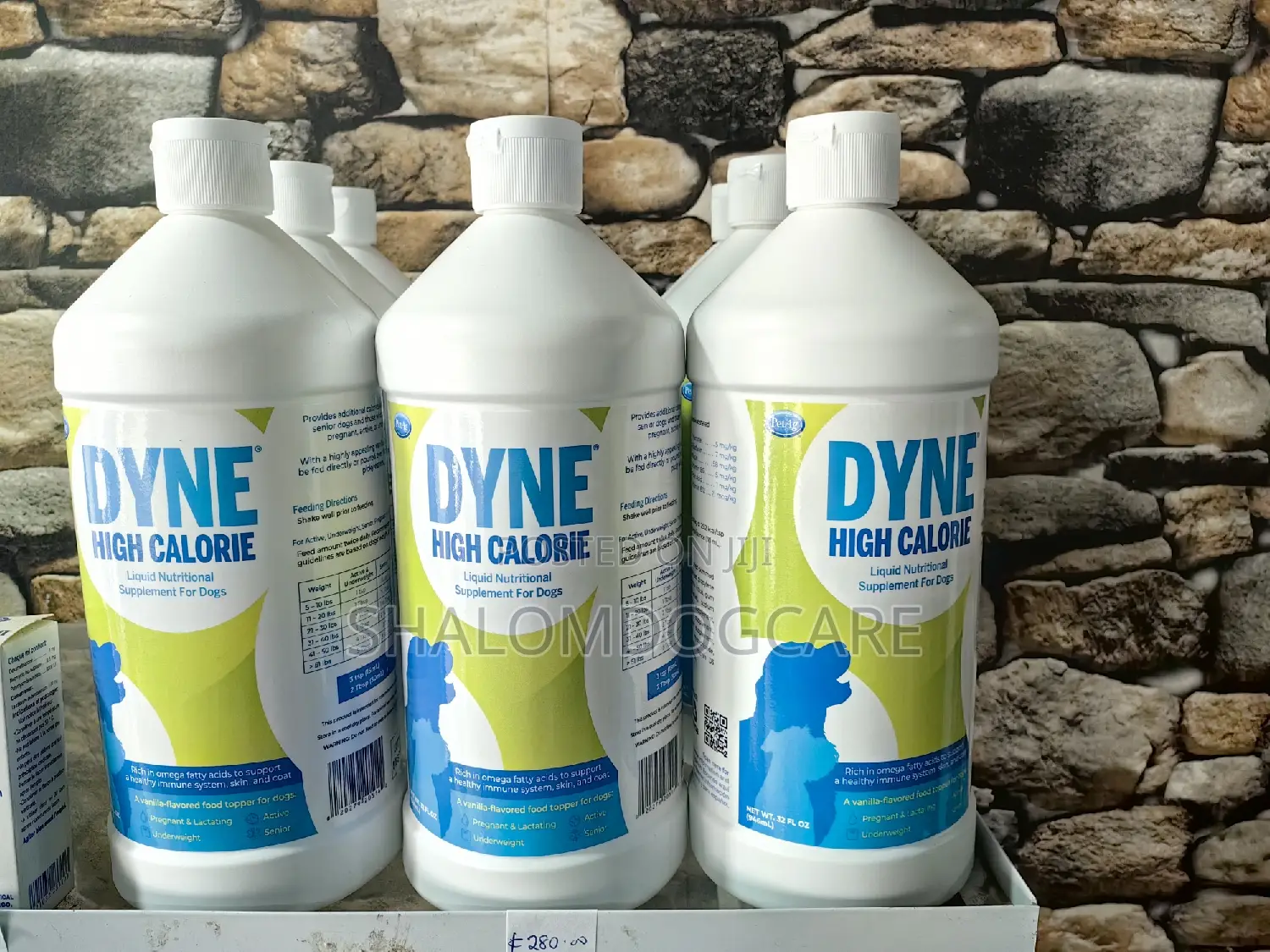 Dyne Food Supplement in Accra Metropolitan Pet Accessories, Shalom