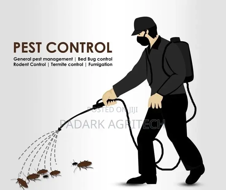 Fumigation Services