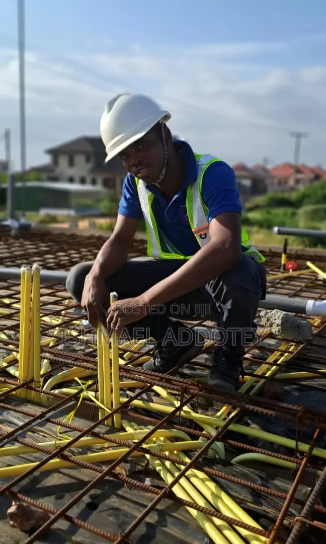 Professional Electrician