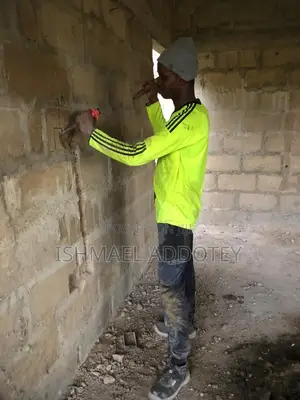 Professional Electrician