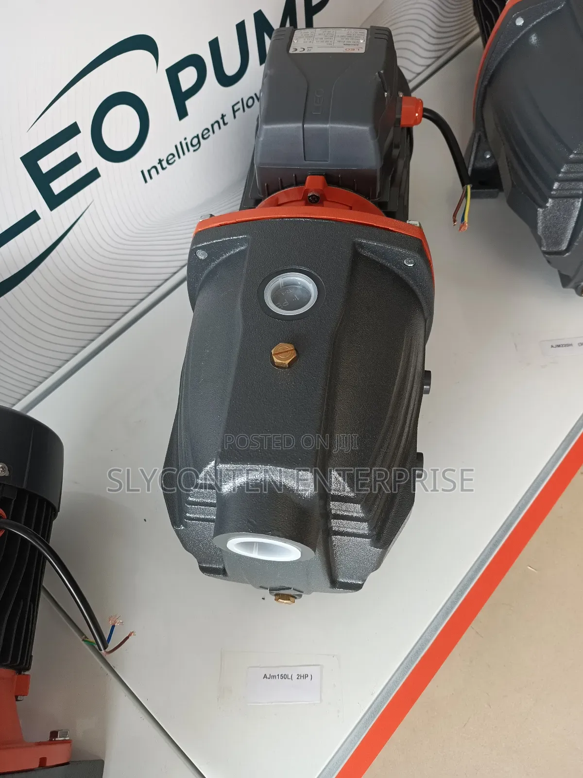 Leo 1.5hp Water Pump (Ajm90)
