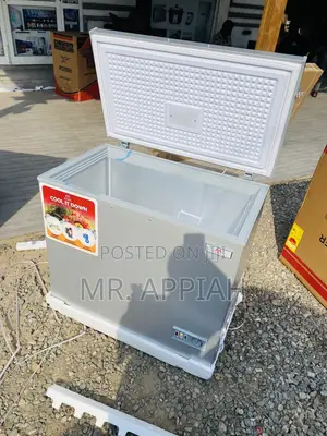 Single Door Zara 300FL Electric Chest Freezer.