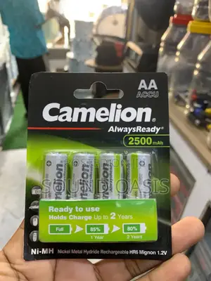4in1 Camelion Rechargeable Battery