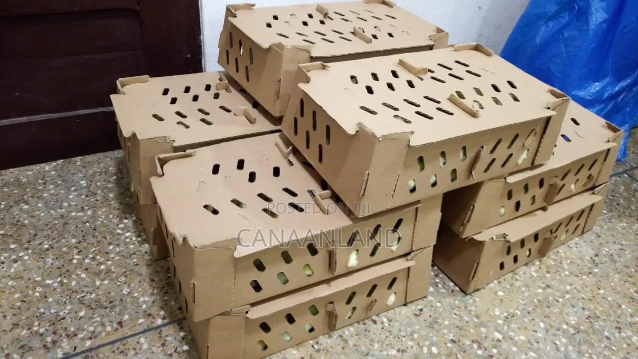 Broilers Abor Acres, Ross
