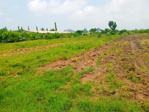 12 Acres of Land at Ajumador
