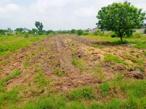 12 Acres of Land at Ajumador