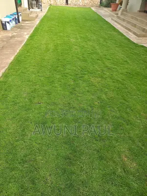 Professional Gardener
