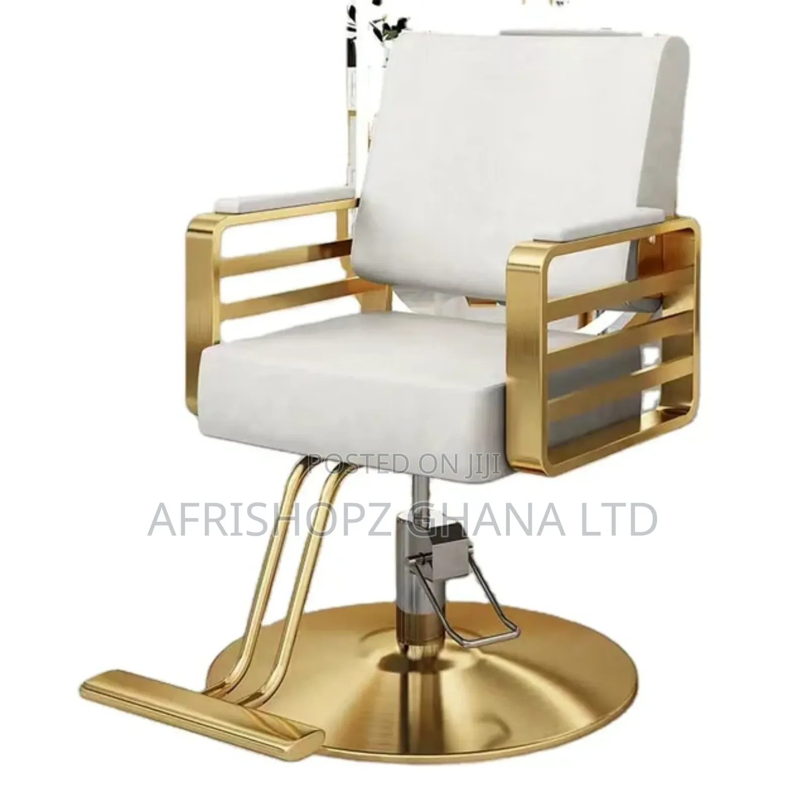 Salon Chair