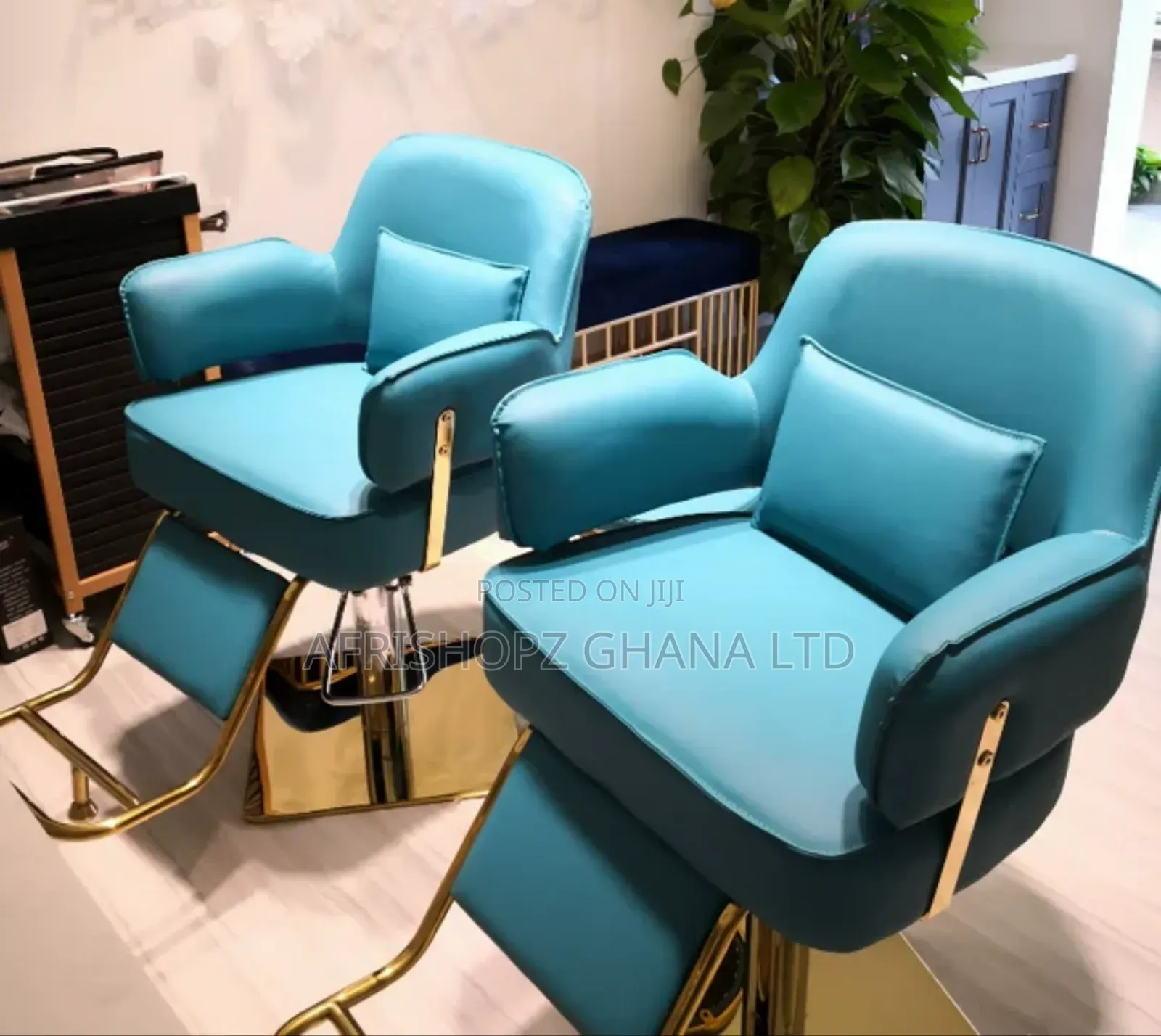 Salon Chairs