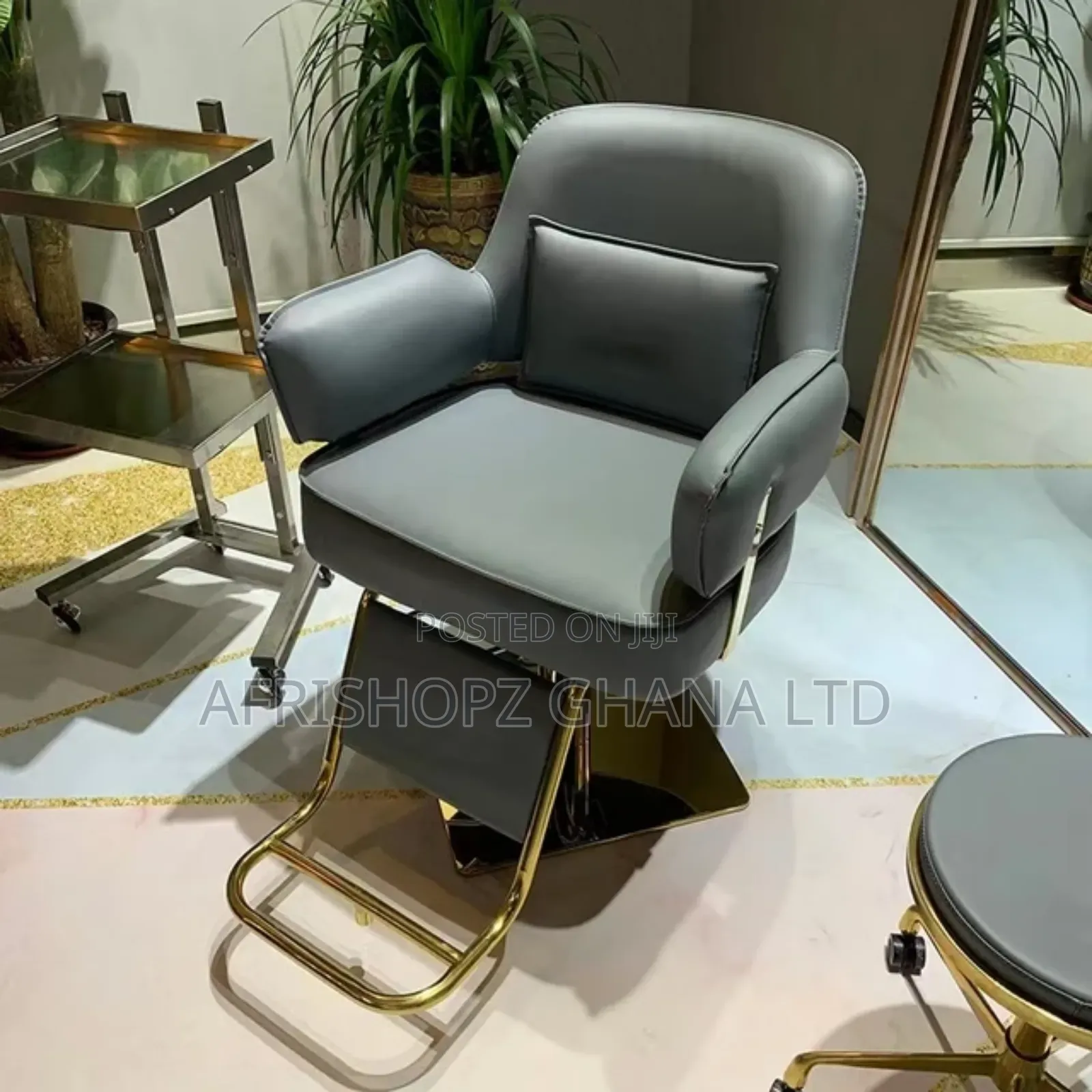 Salon Chairs