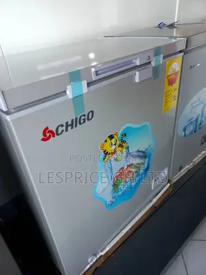 Energy Saving ~Chigo 93l Chest Freezer