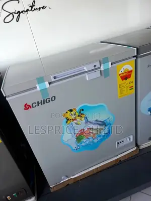 Chigo 93L Chest Freezer High Energy Level