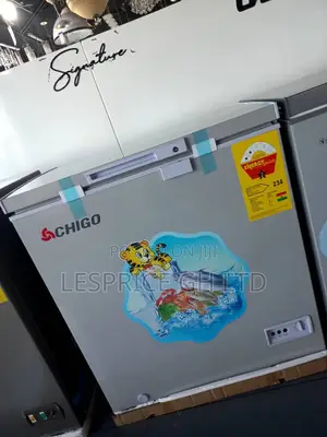 Top Best~Chigo 93L Deep Freezer