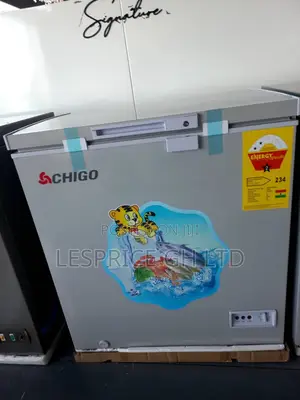 Chigo 93L Super Quality Chest Freezer