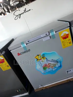 Premium Quality//Chigo 93L Chest Freezer