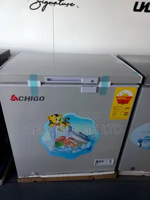 Chigo 93L Deep Freezer