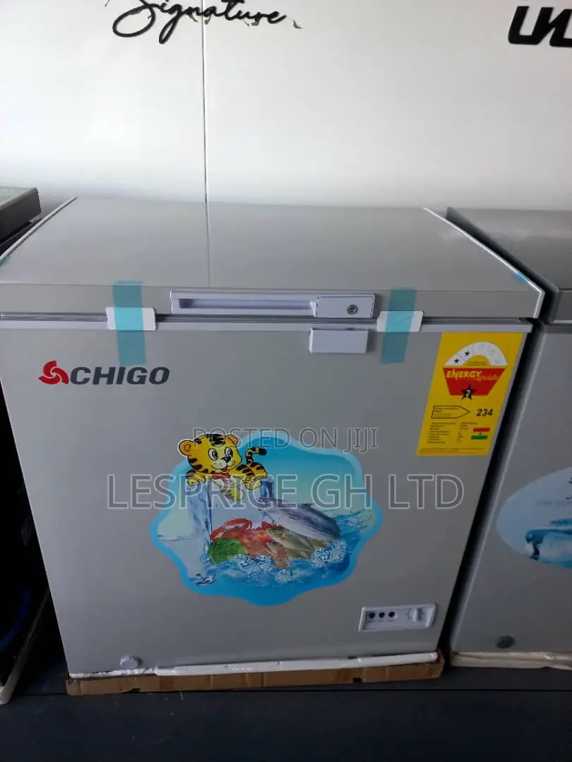 Chigo 93L Deep Freezer