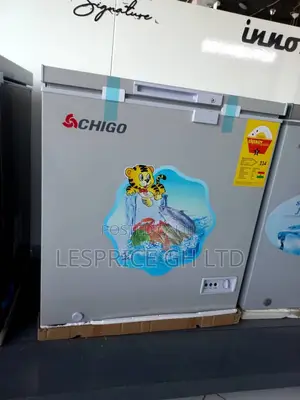 Chigo 93L the Best Silver Chest Freezer