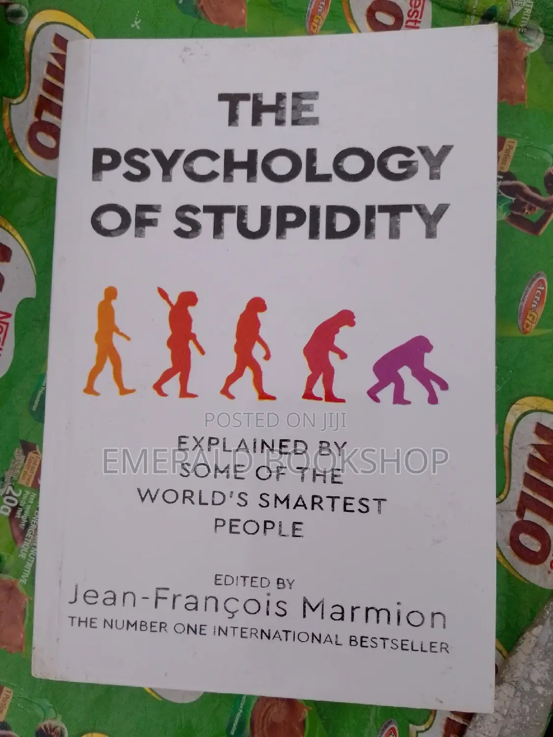 Psychology of Stupidity Book