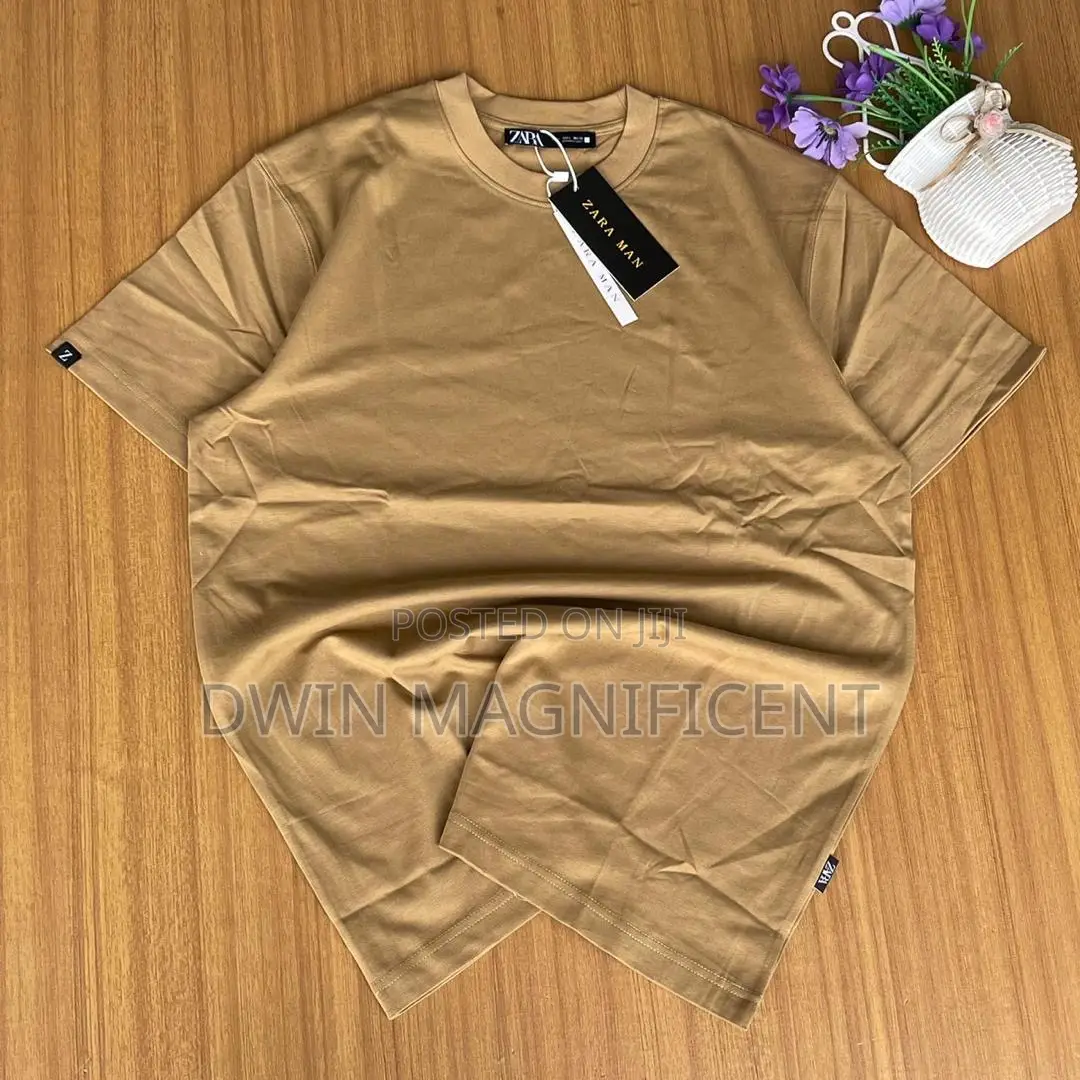 Plain Zara T Shirt