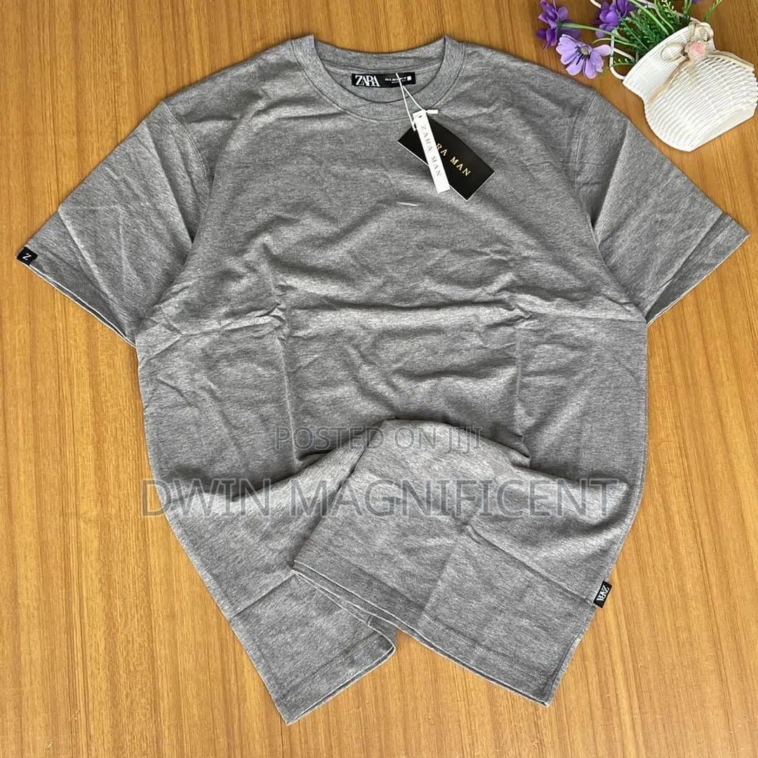 Plain Zara T Shirt