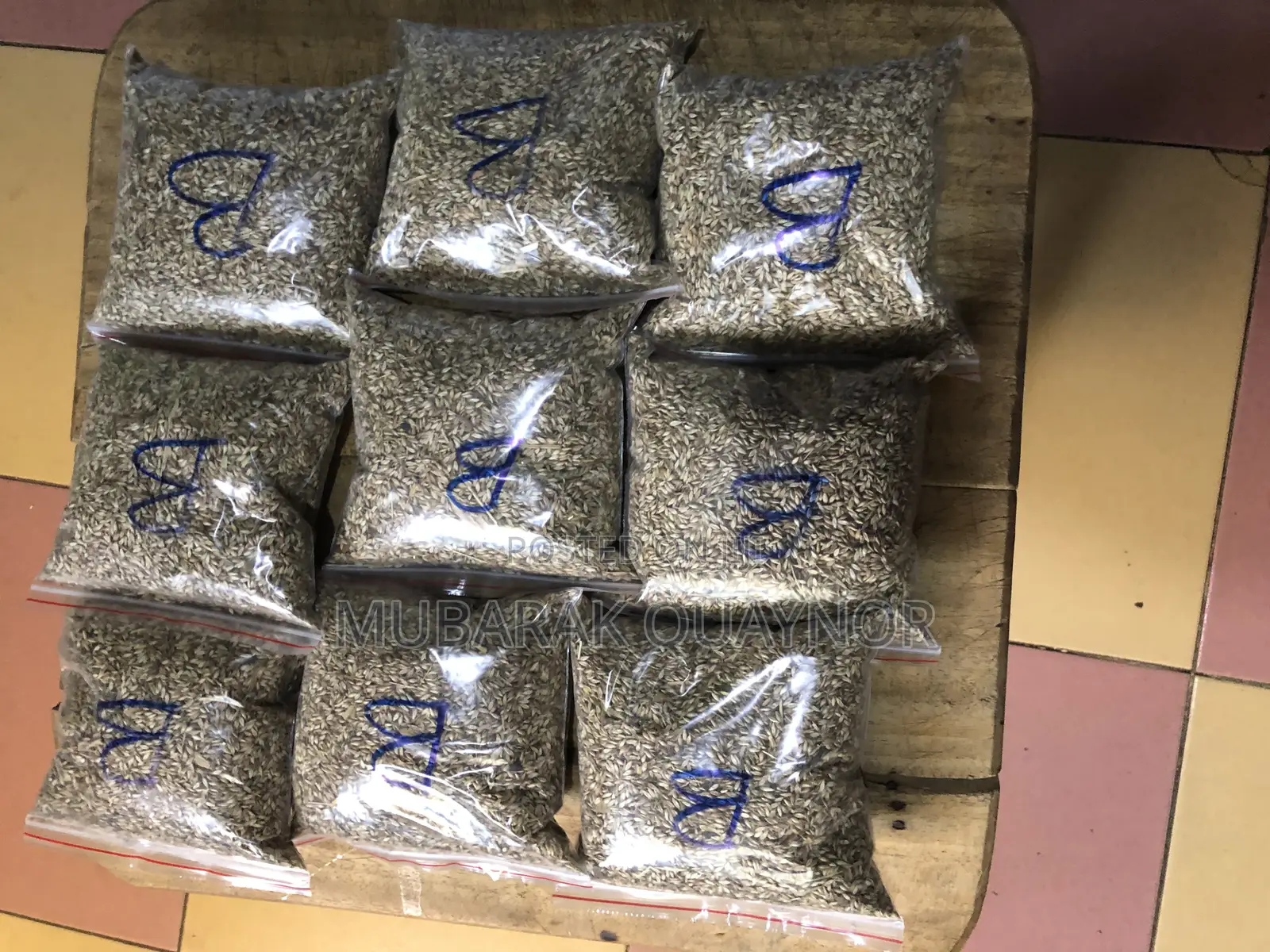 Brachaira Grass Seeds