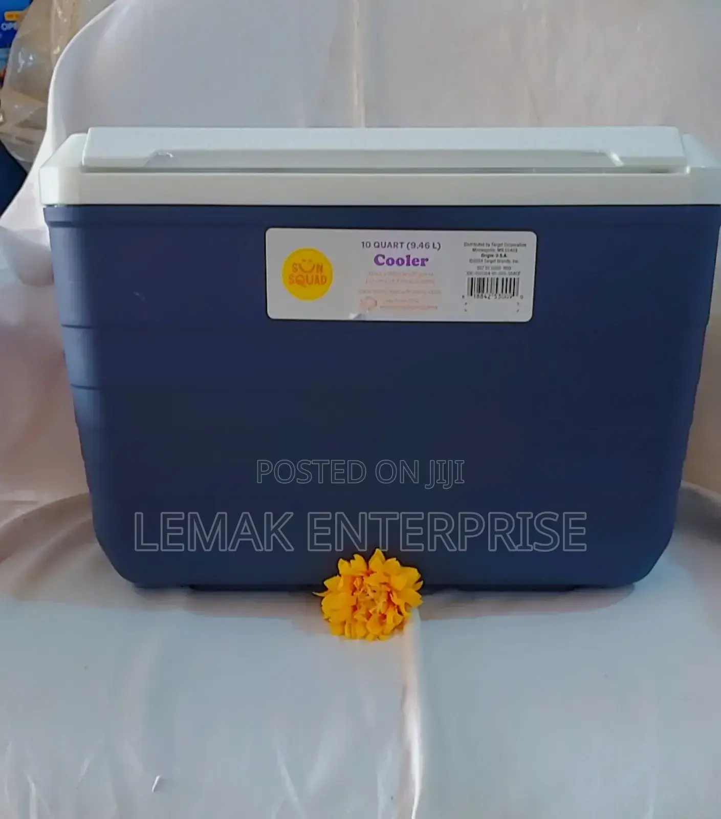 Ice Chest 10 Quart Sun Squad Cooler
