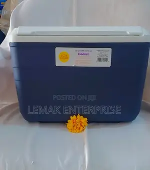 Ice Chest 10 Quart Sun Squad Cooler
