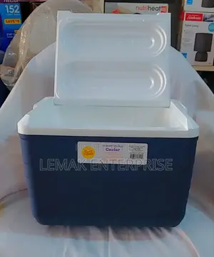 Ice Chest 10 Quart Sun Squad Cooler
