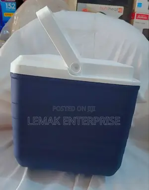 Ice Chest 10 Quart Sun Squad Cooler