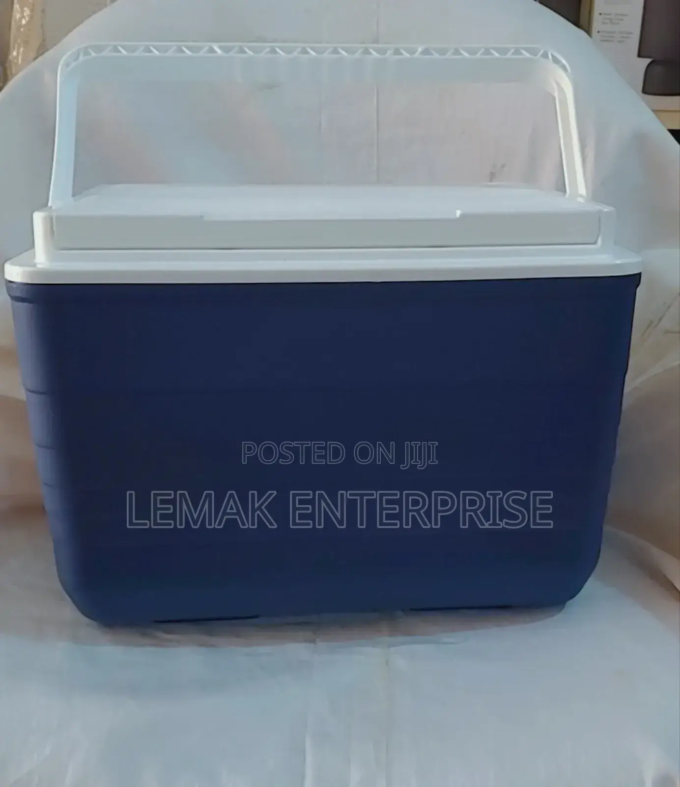 Ice Chest 10 Quart Sun Squad Cooler