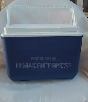 Ice Chest 10 Quart Sun Squad Cooler