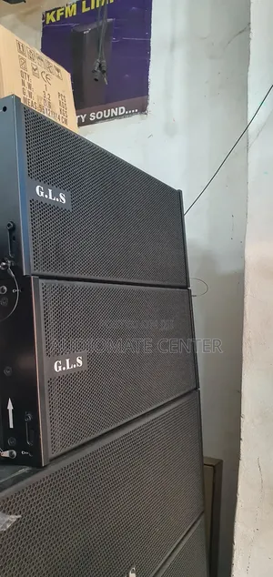 GLS Dual 10 Line Array