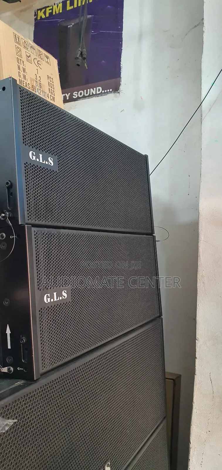 GLS Dual 10 Line Array
