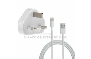 Original iPhone Charger
