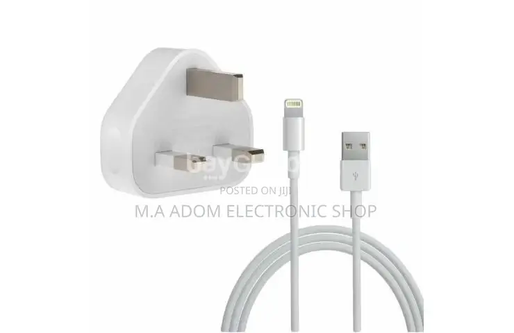 Original iPhone Charger