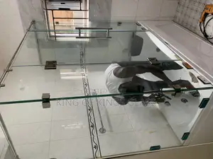 Frameless Shower Case