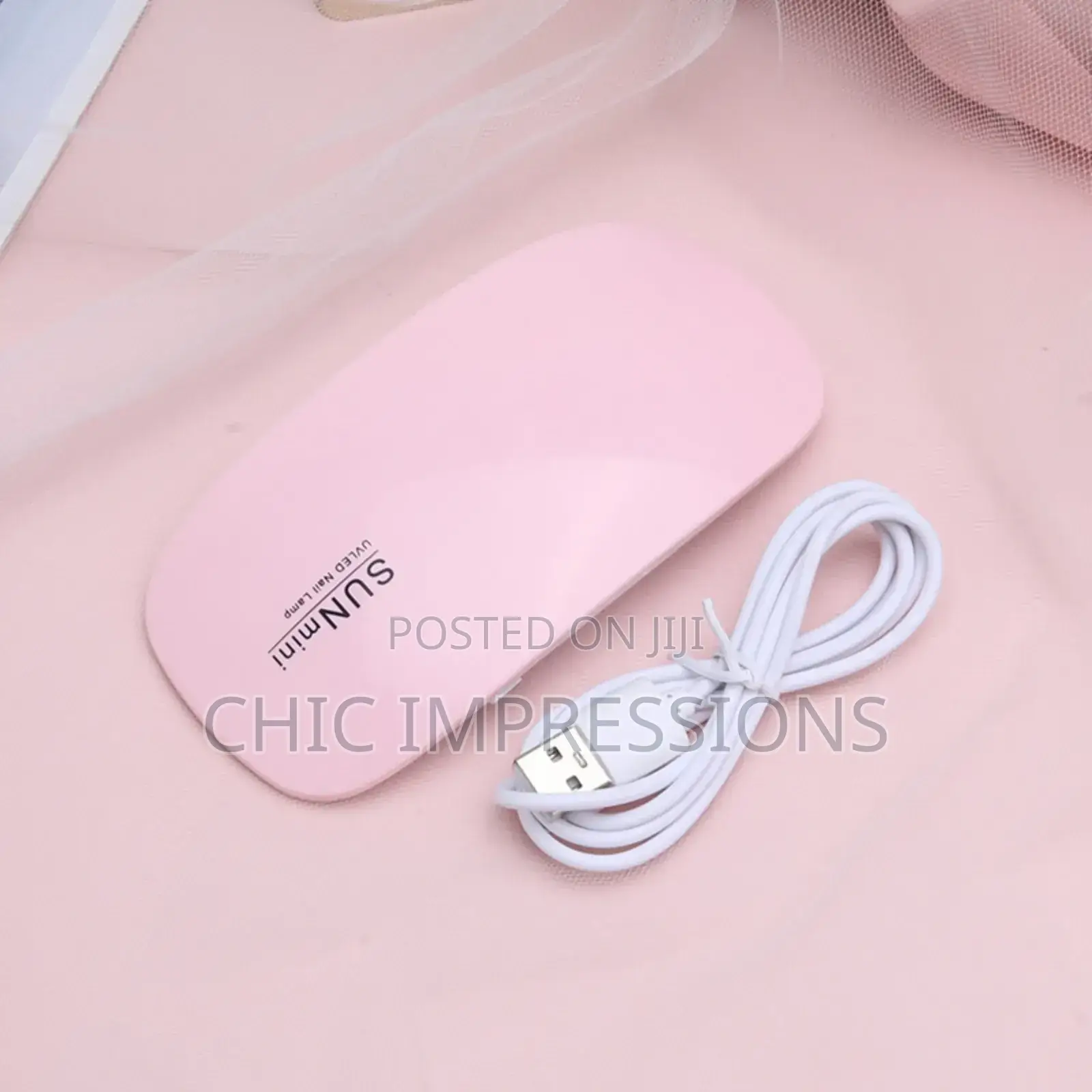 Portable UV Light