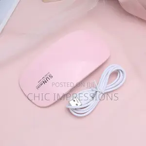 Portable UV Light