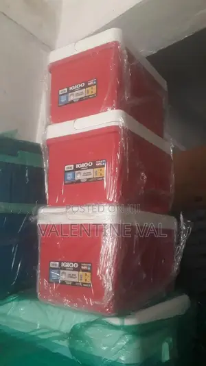 Ice Chest for Your Beach/Pool Outing and Occasion