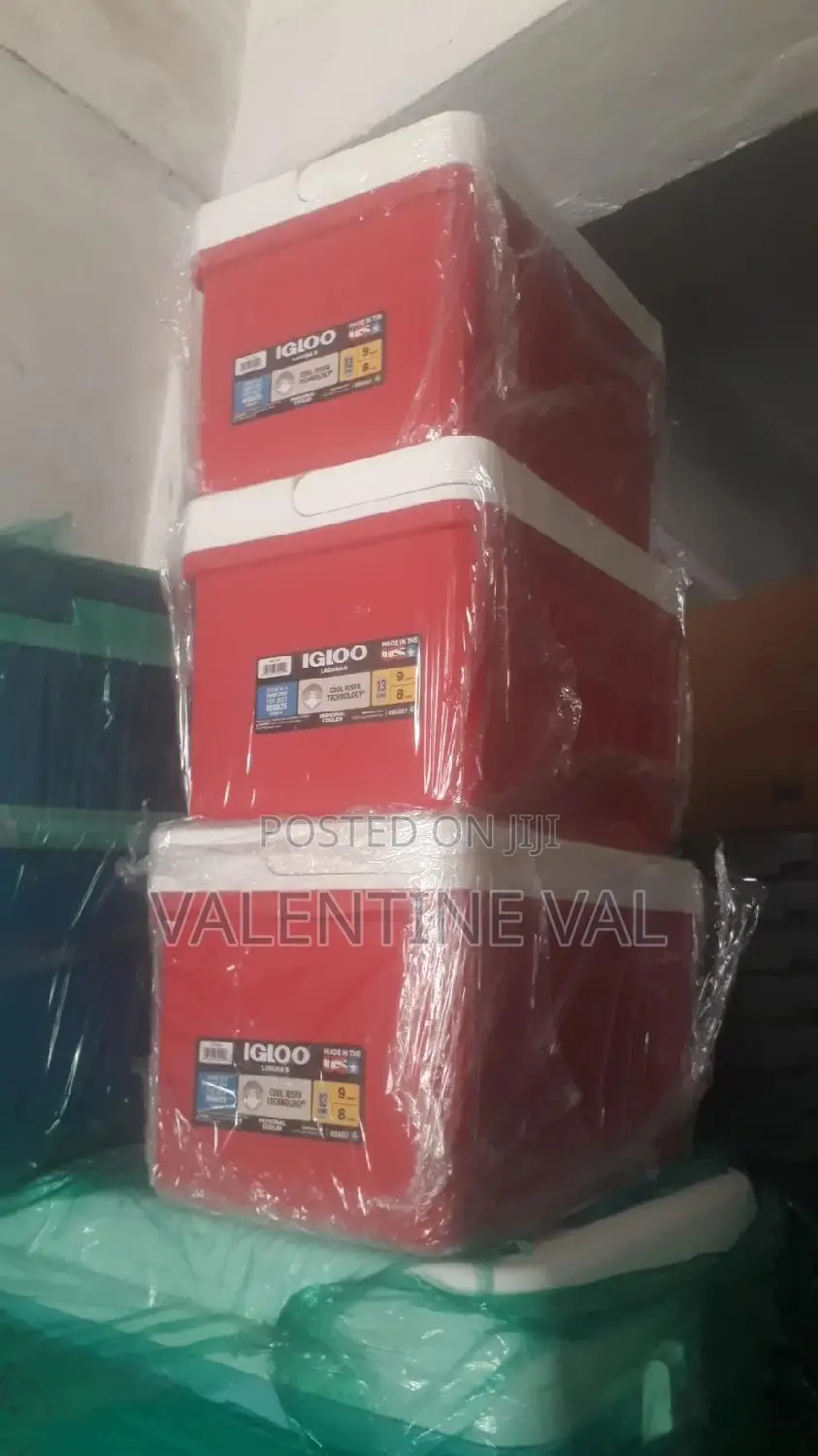 Ice Chest for Your Beach/Pool Outing and Occasion