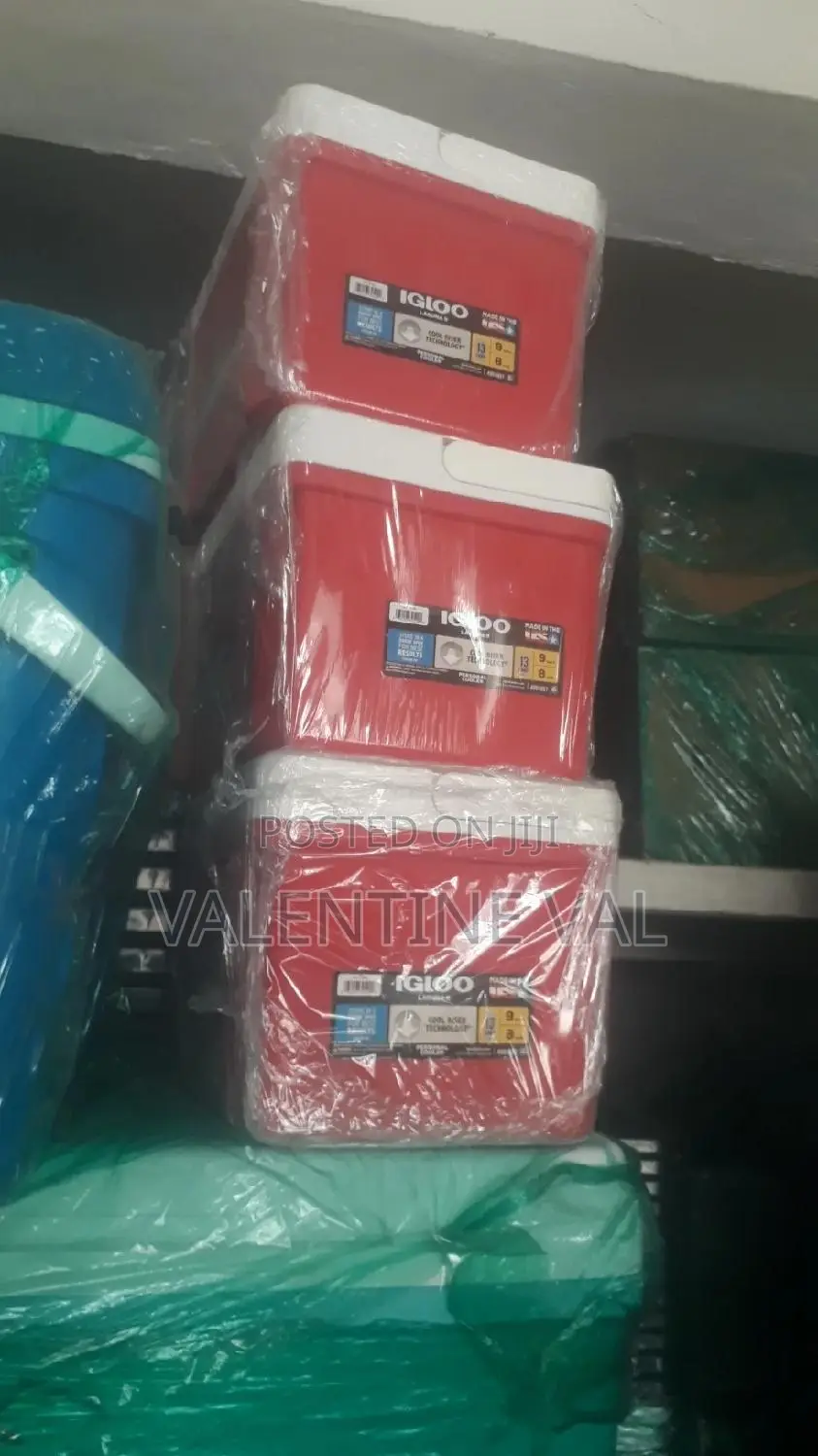 Ice Chest for Your Beach/Pool Outing and Occasion