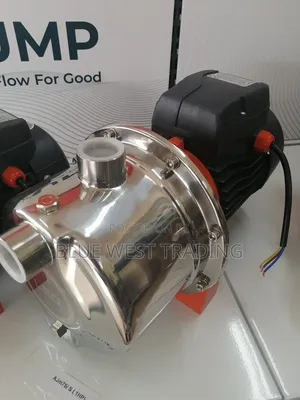 1 Horse Power Stainless Water Pump - Leo Water Pump 1hp