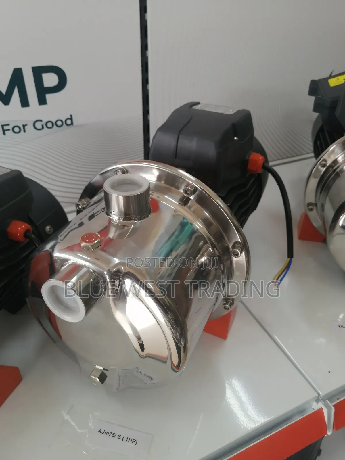 1 Horse Power Stainless Water Pump - Leo Water Pump 1hp
