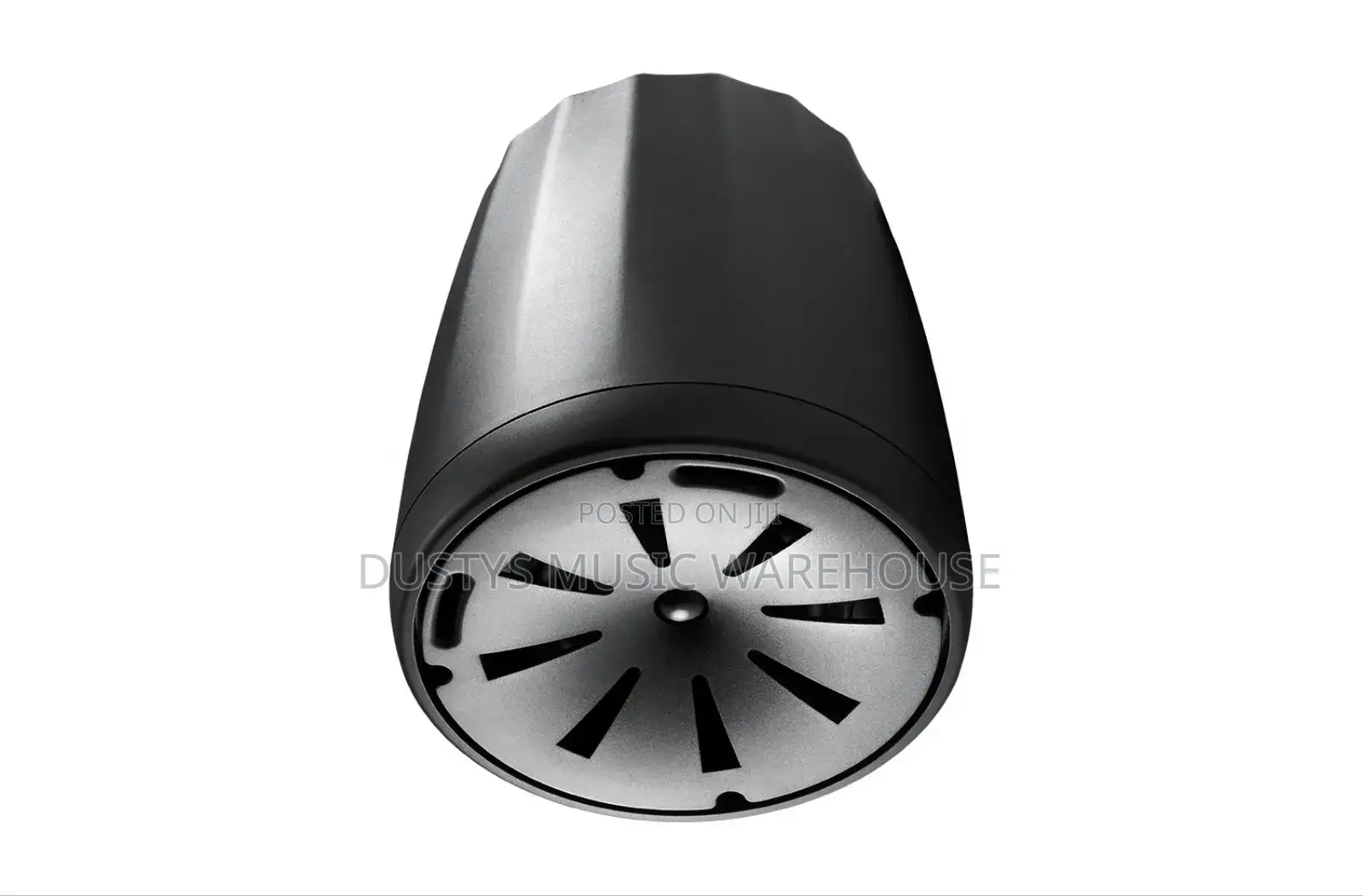 Control 65 P/T Compact Full-Range Pendant Speaker